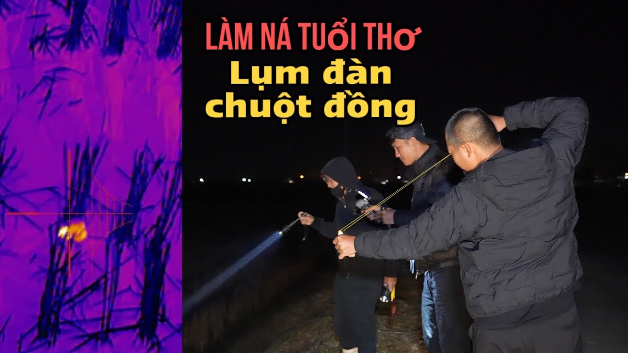 Làm Ná Tự Chế Đi Lụm Đàn Chuột Đồng Phá Mùa Màng