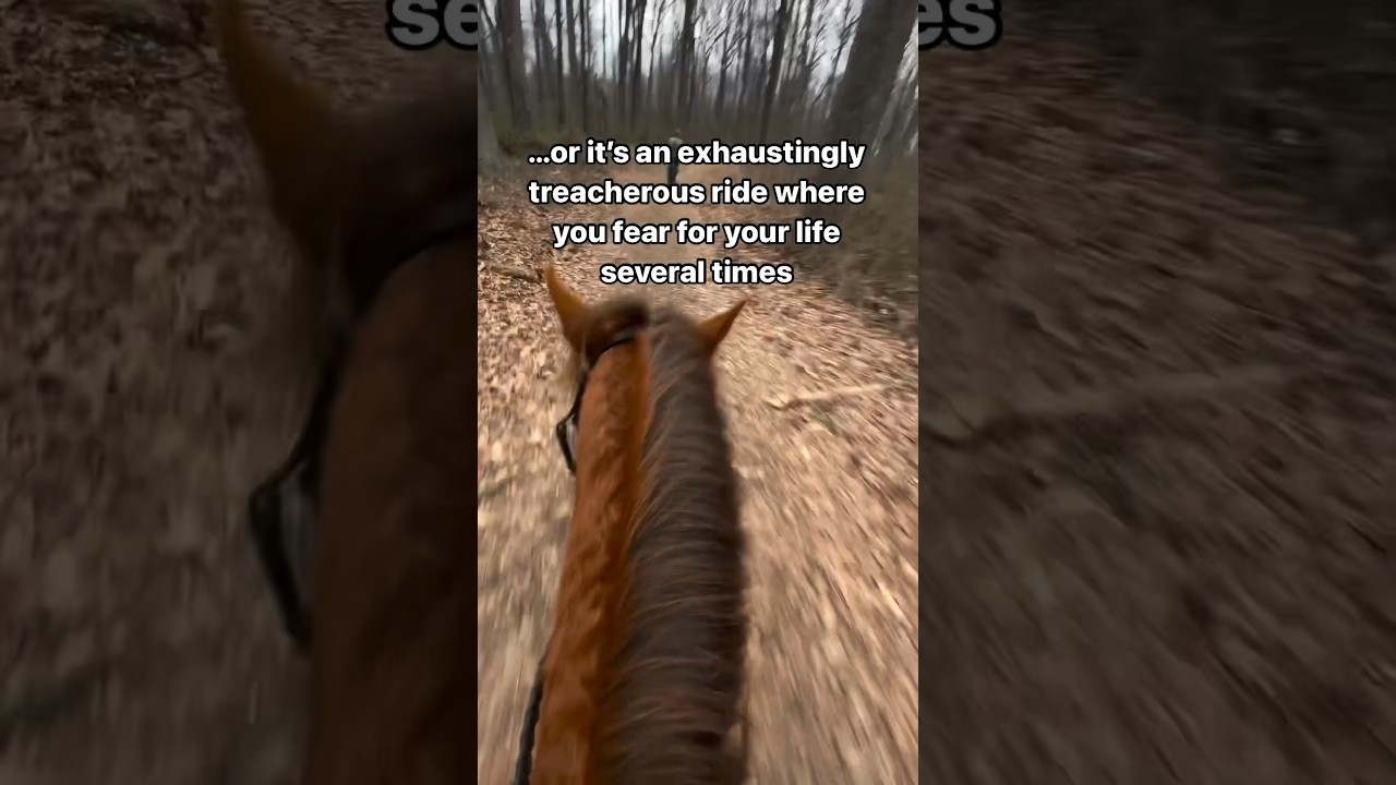 What is Trail Riding?