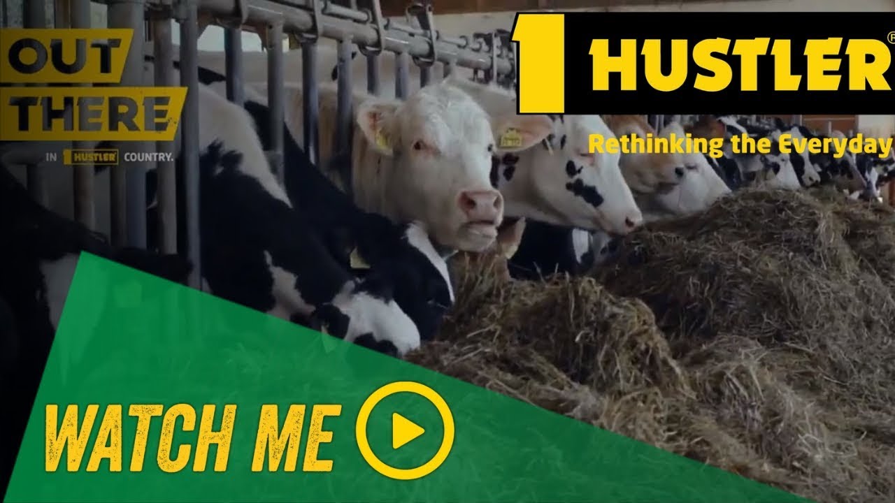 Hustler Compact loader simplified feeding balage to cattle in barns