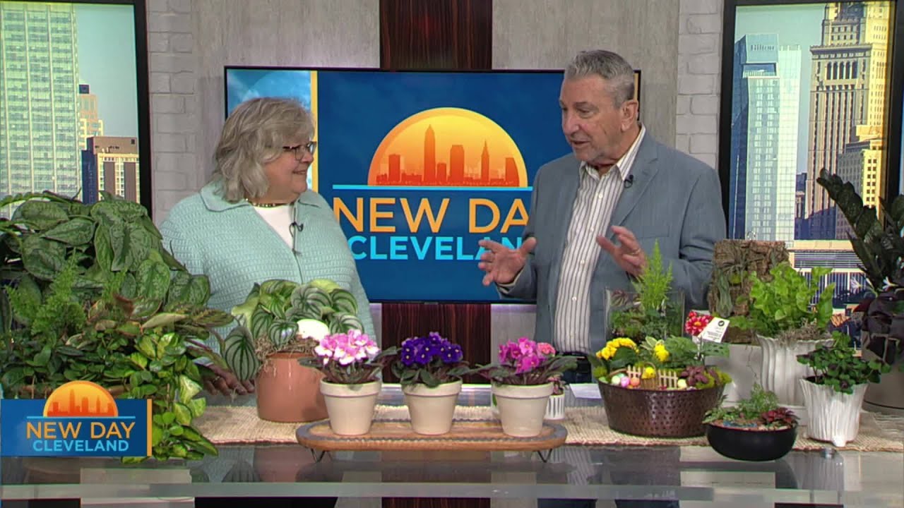 New Day Cleveland: Graf Growers