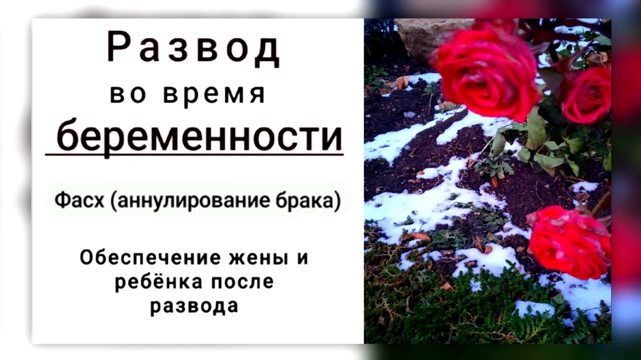 РАЗВОД  во время БЕРЕМЕННОСТИ. Фасх, аннулирование брака. Ринат абу Мухаммад. Абу Яхья Крымский. 