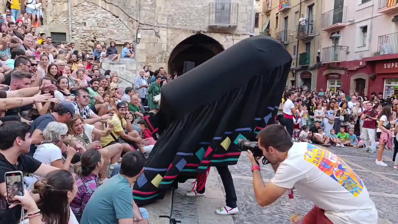 Mulassa, Gegants i Cavallets de Sant Feliu de Pallerols - Santa Tecla 2024