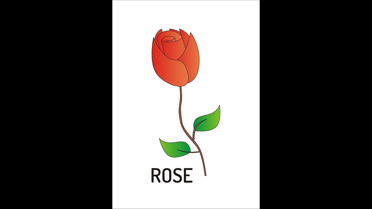 how to draw a rose using coreldraw