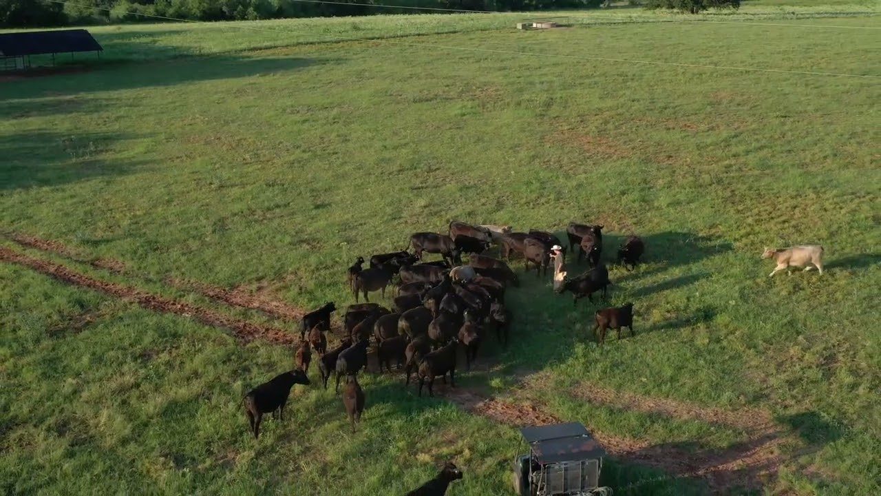 Experience Crosswind Ranch