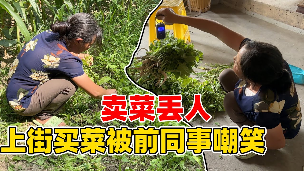 57岁转行以卖菜为生，没想到却被前同事嘲笑了，说还不如做家政打扫卫生，靠自己的双手挣钱不丢脸