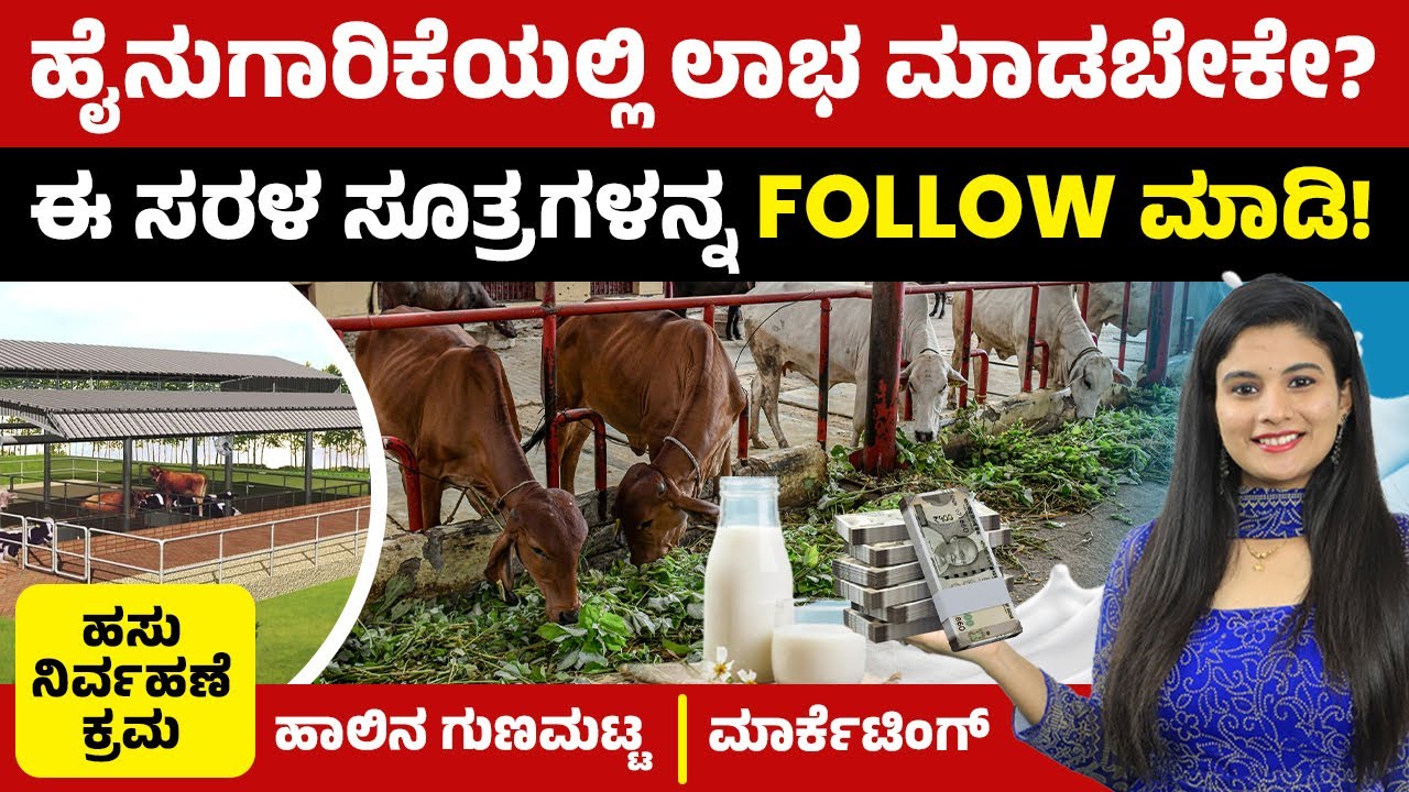 Dairy Farming Complete Details In Kannada | Cow Management , Food ,Cow Milk Production and Marketing