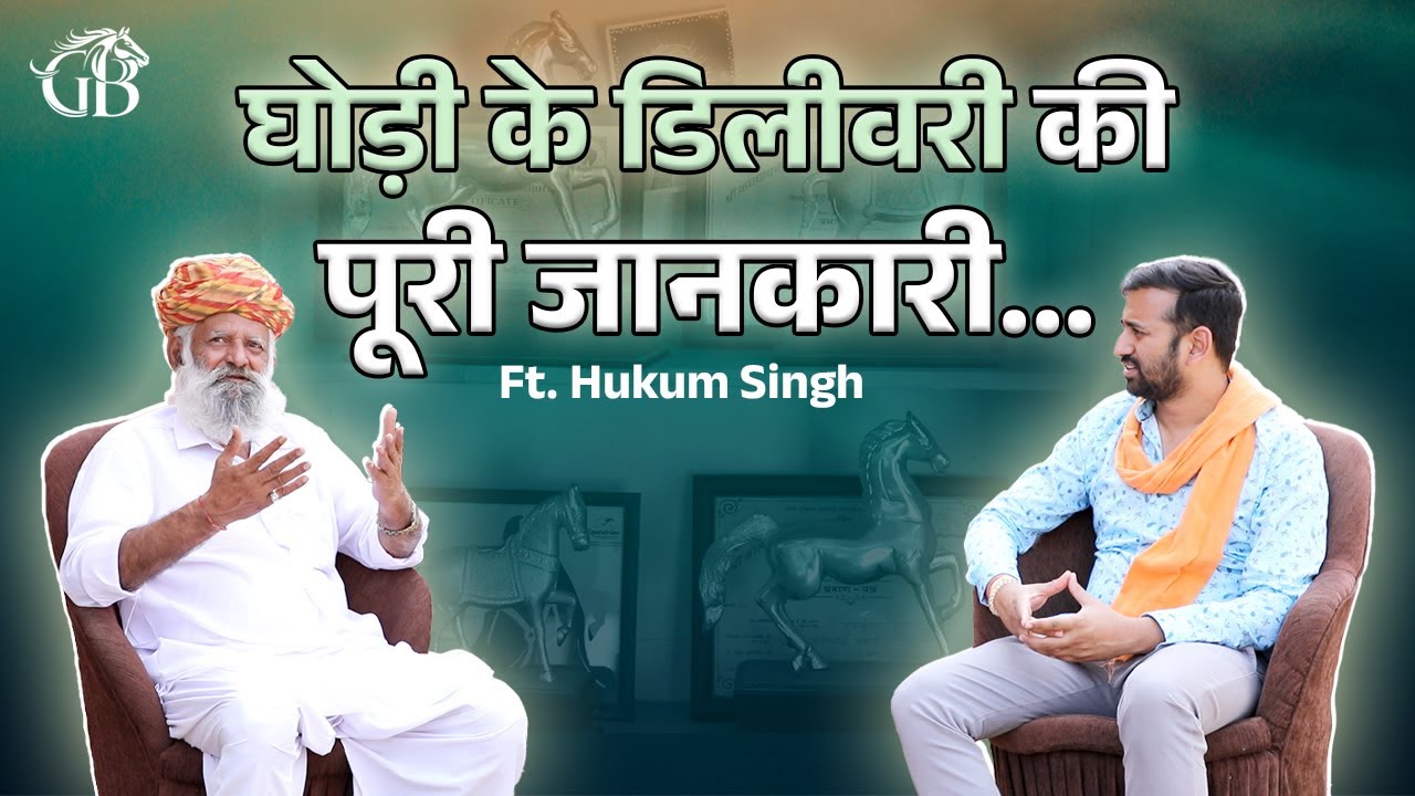 घोड़ी के डिलीवरी की पूरी जानकारी | GHODEBAAZ । TEJPAL WAGH । HUKUM SINGH#horse#horselover#viralvideo