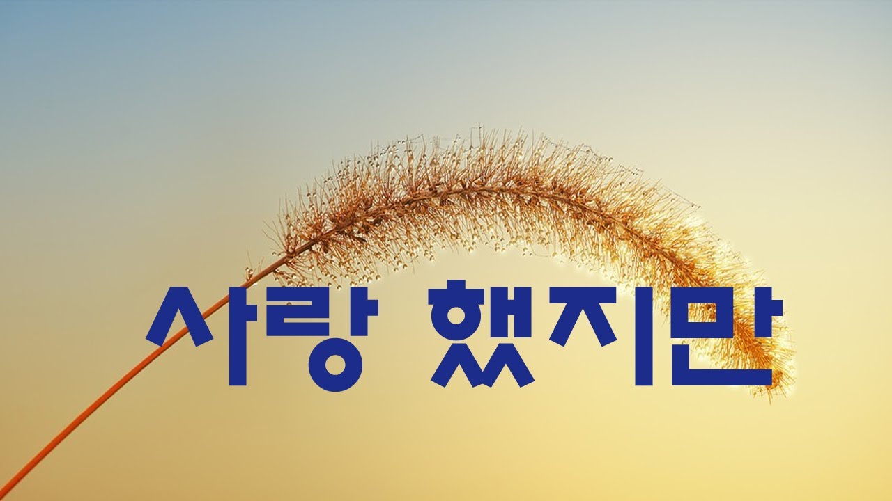 가요, 김광석 - 사랑 했지만, 반복듣기,  7080, 국내가요, 한국가요, KPOP