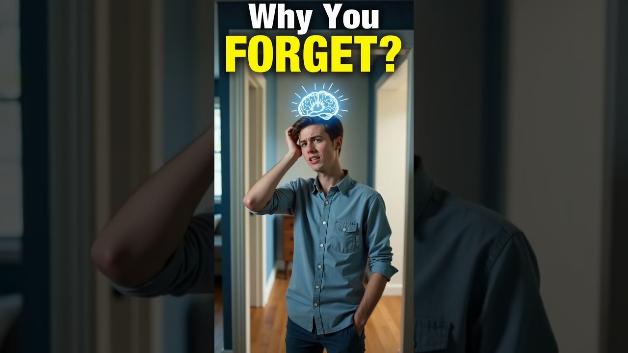 Your Brain Resets When You Walk Through a Door l mind blown facts
