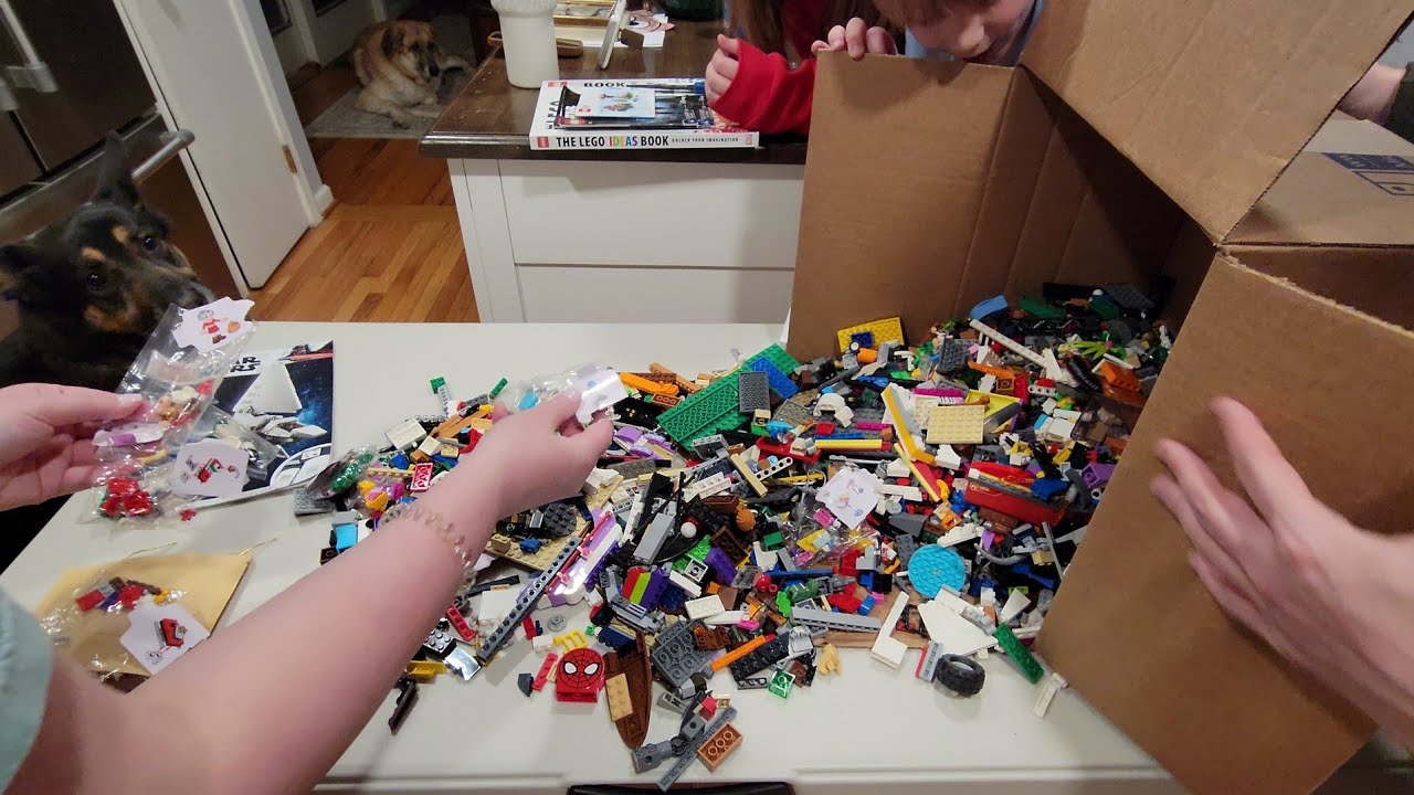 Lego 15 LB MYSTERY BOX!! -Lego Goodwill Blue Box - Any Lego Treasures?