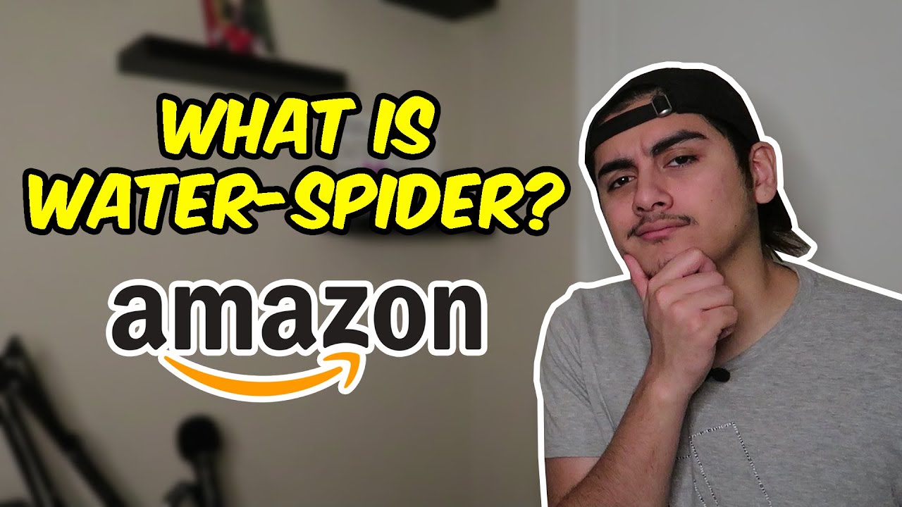 Explaining Each Position at AMAZON - Episode 2: Inbound Water-Spider!