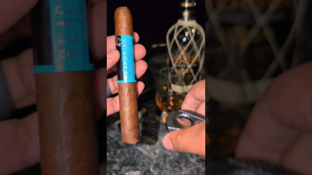 🌒 🍂 ASMR Cigar Smoking & Relaxation | Trying this BLACKBIRD #shorts #cigars #fyp #asmr  #music