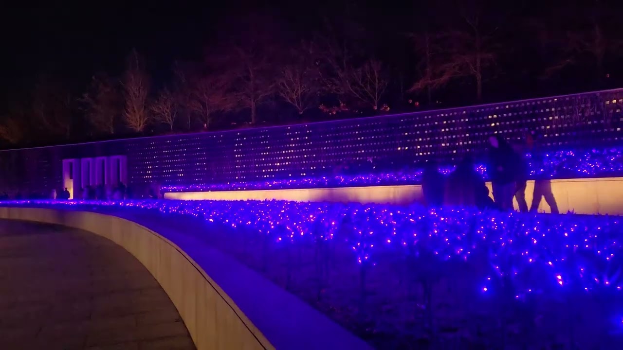 Краснодар парк, Террасированный сад вечером