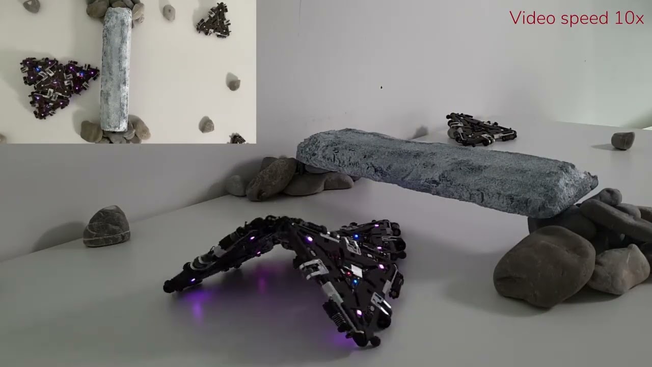 Resource-sharing boosts robotic resilience