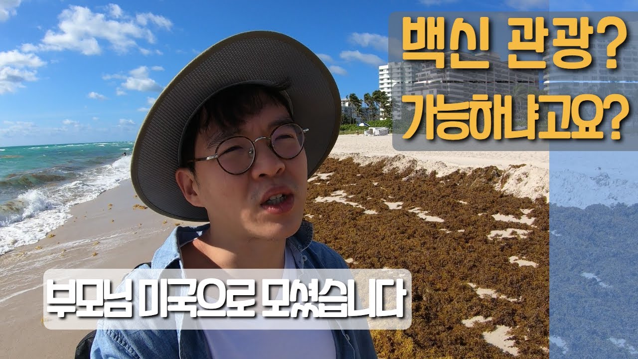 미국 마이애미 백신 관광 / 얀센 맞는 이유