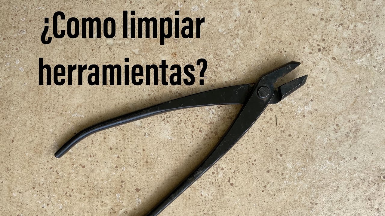¿Como limpiar herramientas de Bonsai?