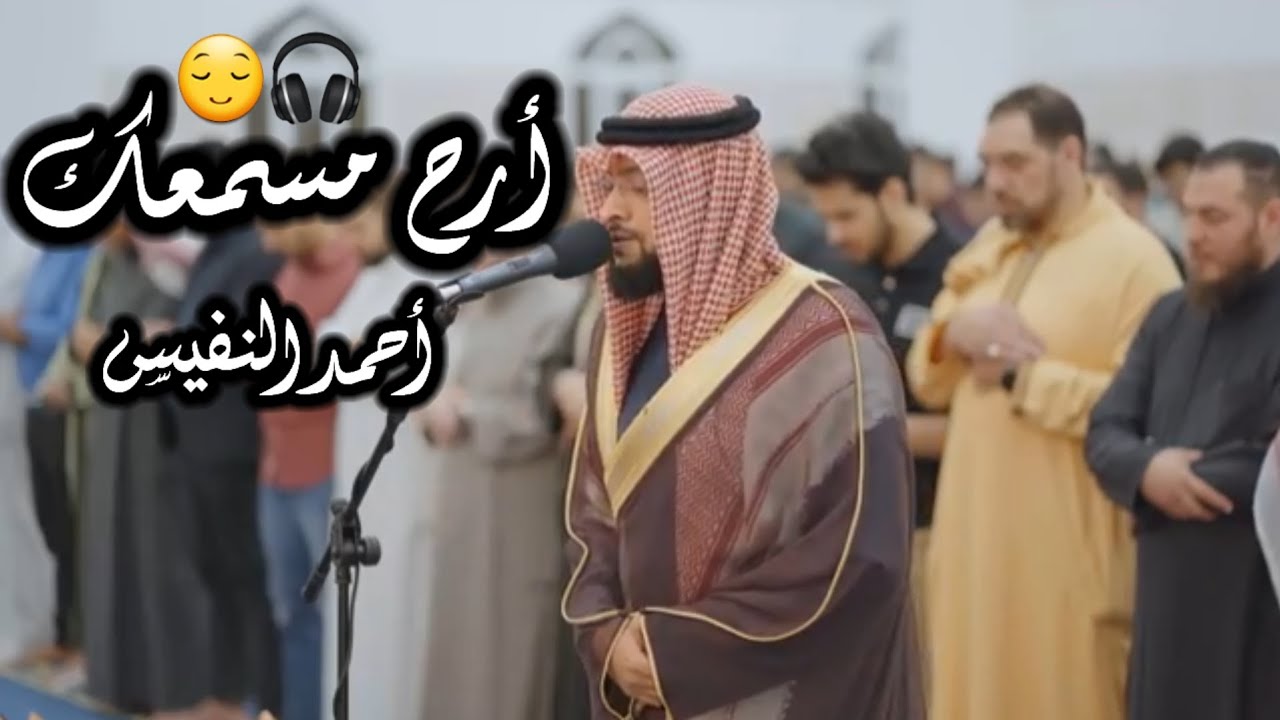 أحمد النفيس || تلاوة ندية لفواتح سورة الرعد 🤍 (ليالي ‎#رمضان ١٤٤٧ هـ )