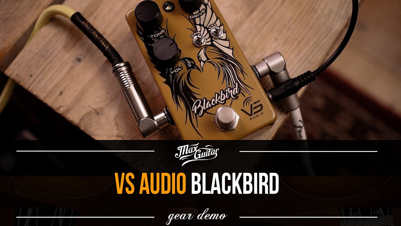 BROWNFACE and BLACKFACE amp tone in a box?? VS Audio Blackbird! With a Strat and a Les Paul!