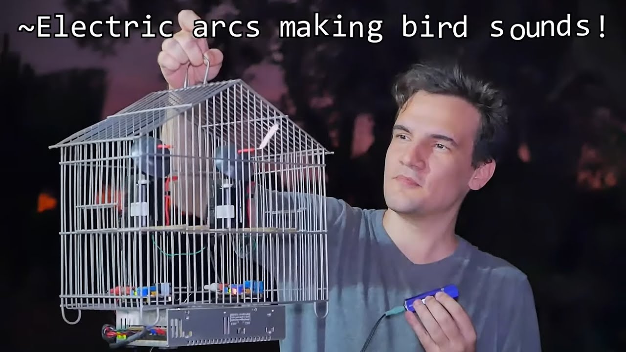 ELECTRIC BIRDS