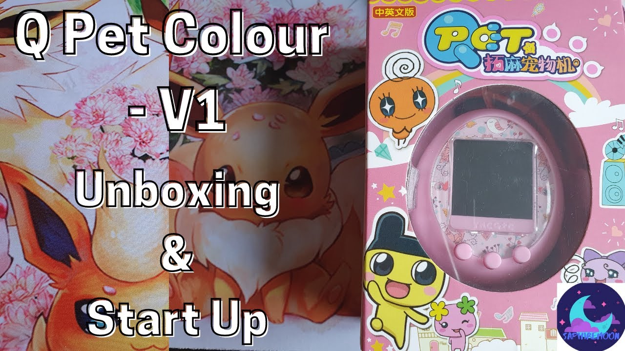 QPet Quolor Unboxing and Startup