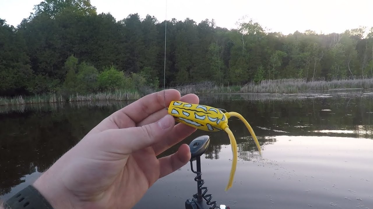 EP:2 Spro Bronzeye Popper Review