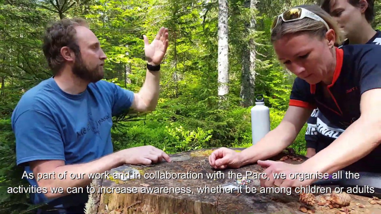 #fairpractice Discovering the majestic trees of the Risoud forest, Parc Jura Vaudois, Switzerland