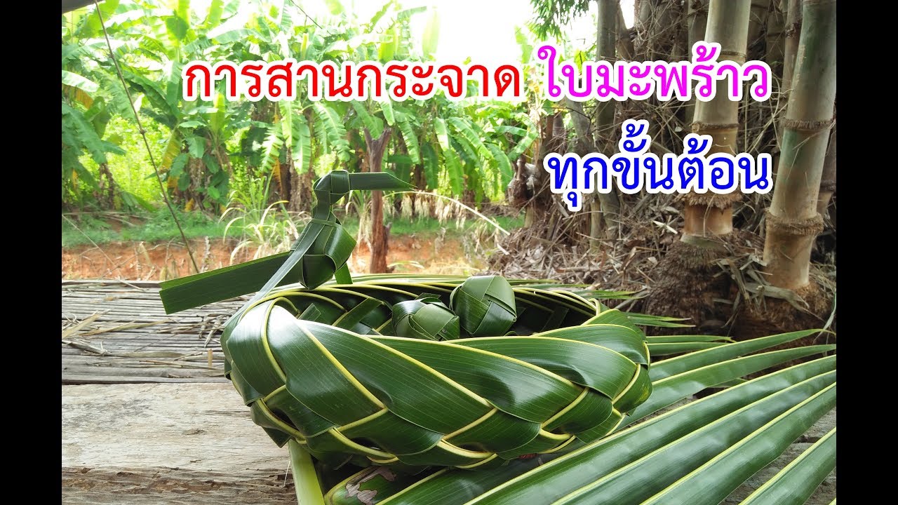 การสานใบมะพร้าว (HD)