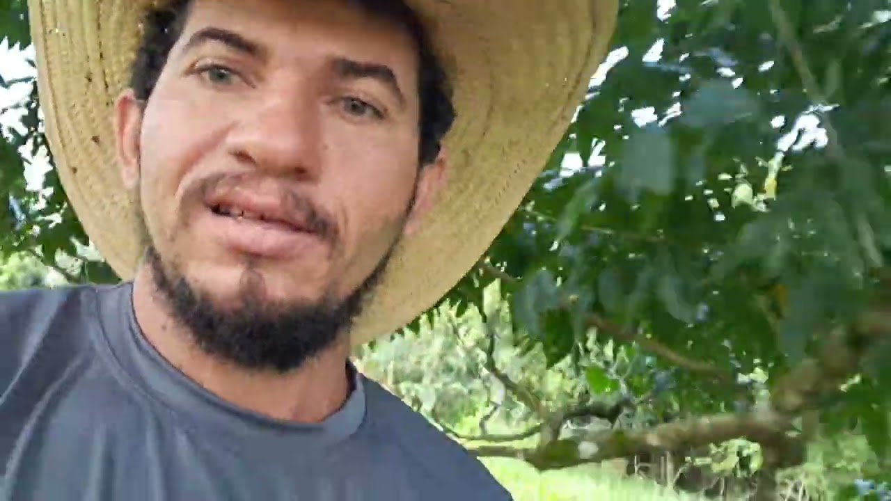 Olhando a vacada da fazenda 🐂