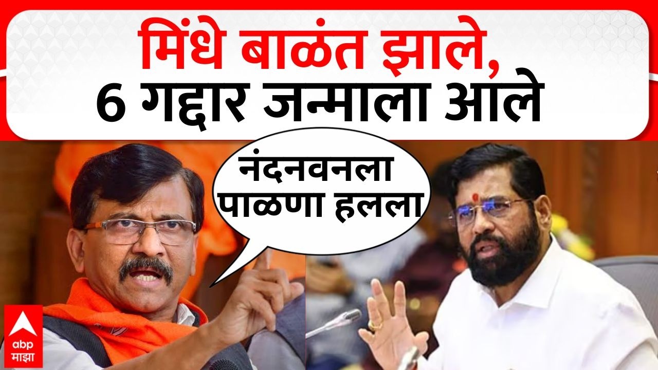 Sanjay Raut on Rebel MP LIVE | मिंधे बाळंत झाले, 6 गद्दार जन्माला आले | Operation Tiger | ABP Majha