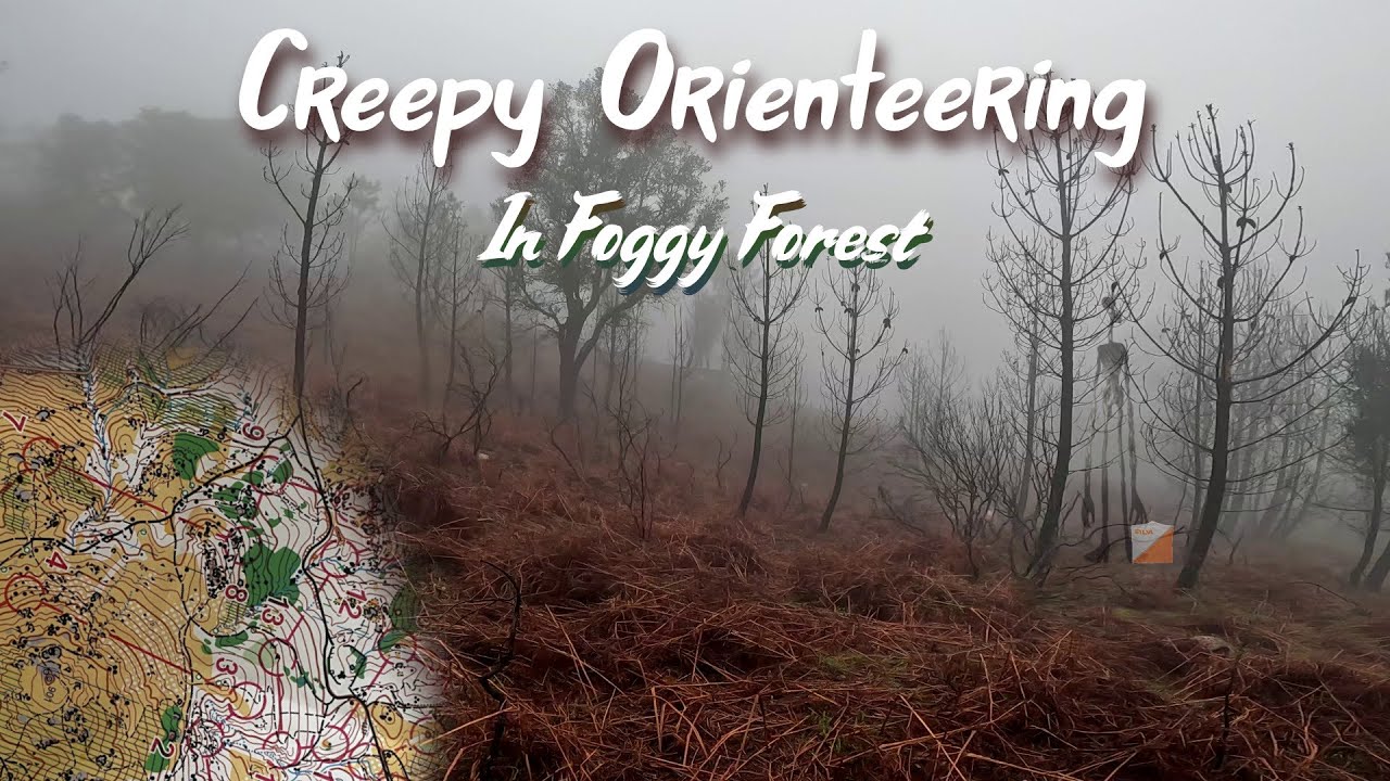 Foggy Forest on the Galician League (headcam orienteering)