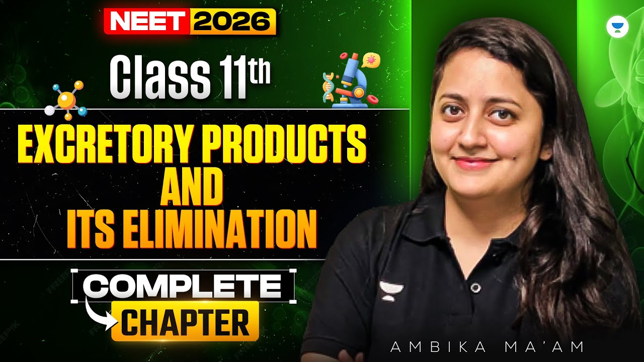 Excretory Products and its Elimination -2  | Class 11th | NEET 2026 | Ambika Mam
