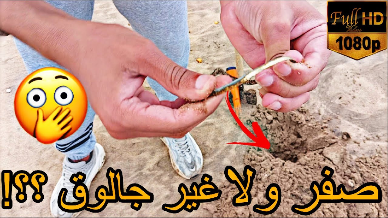 😮 شي حاجة لمعت✨ تحت الرمل!!🏖️ صفر؟ ولا غير جالوق؟!🚯