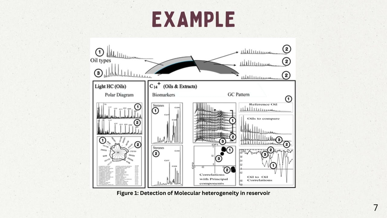 Geochemical Analysis in Reservoir Fluids