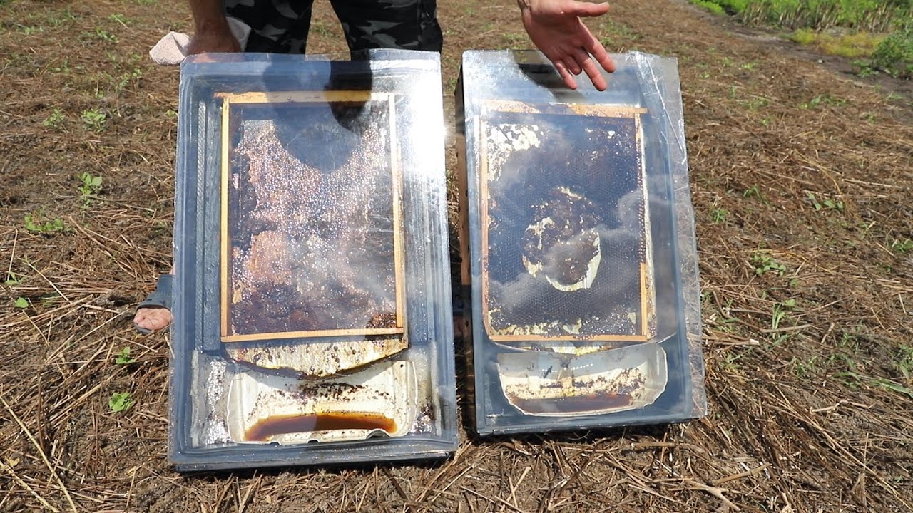 Соревнование солнечных воскотопок