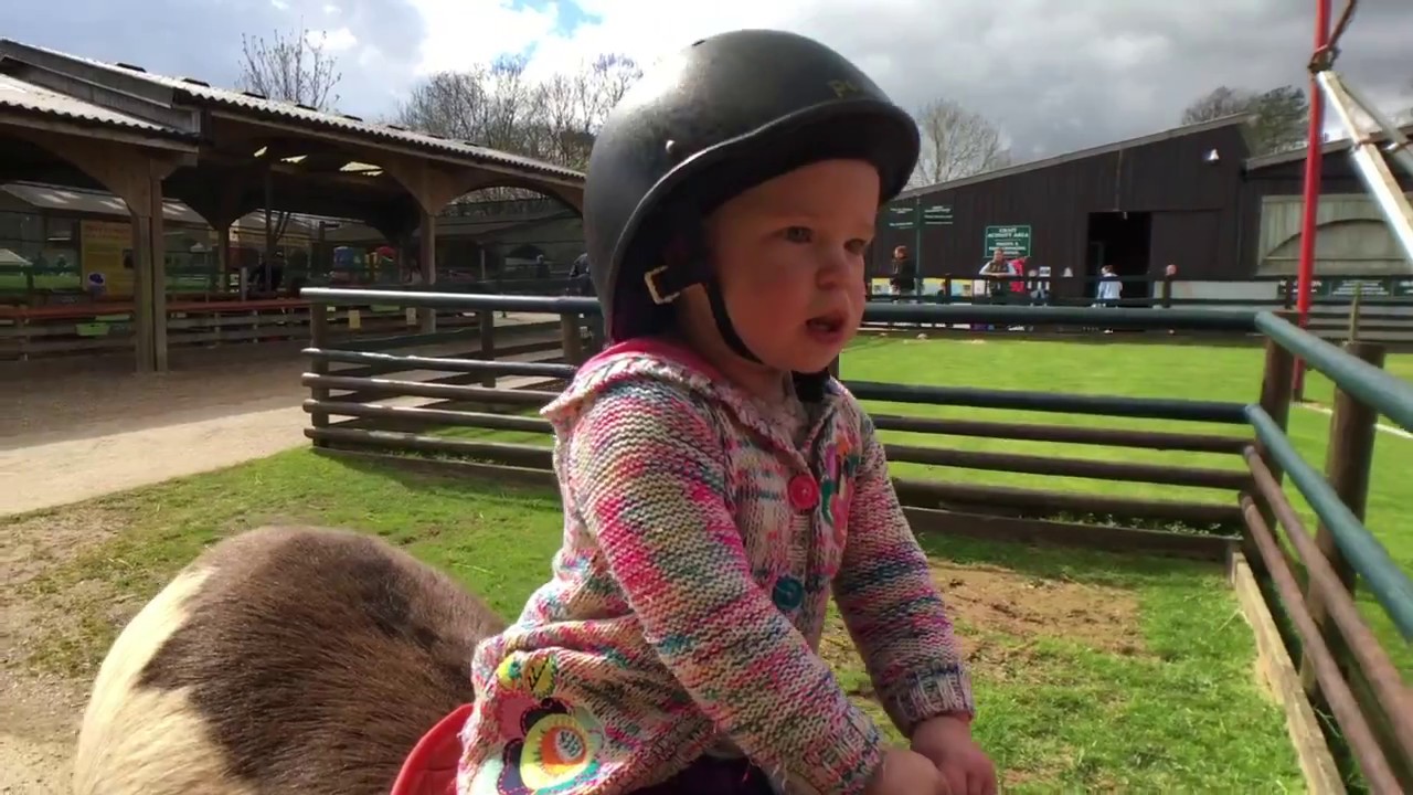 Devon's Top Attractions - Easter in Devon #EasterinDevon | AD Press Trip
