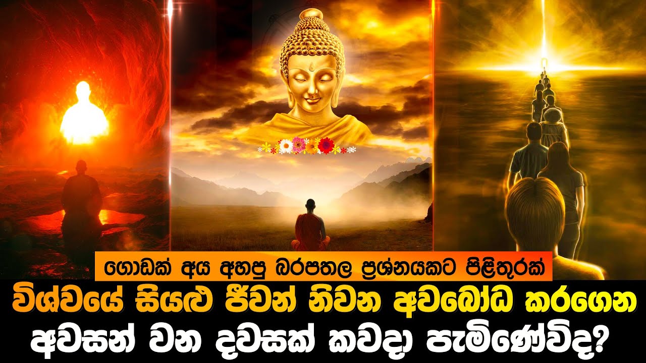 විශ්වයේ සියලු ජීවින් නිවන අවබෝධ කරගෙන අවසන් වන දවසක් ඒවීද?
