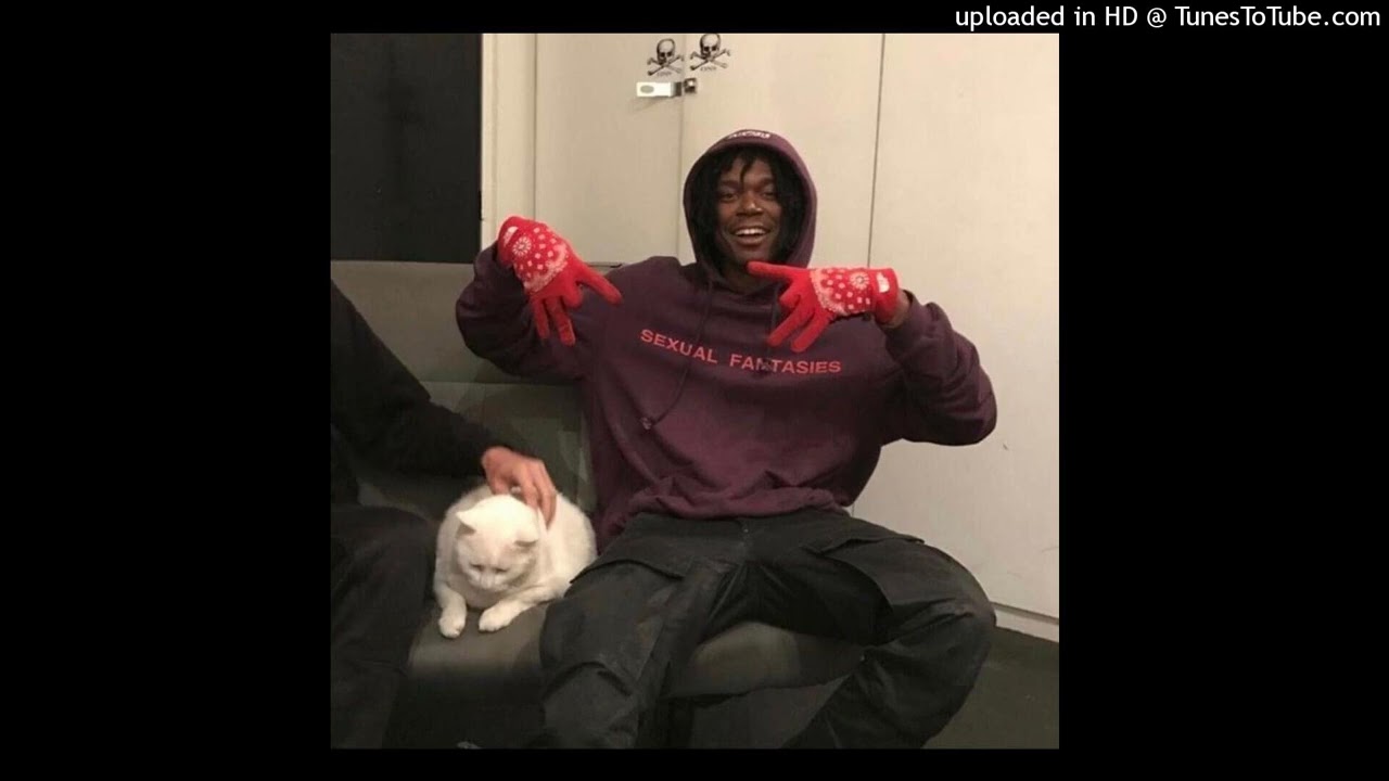 [FREE] Lucki Melodic Type Beat – “Flowers” | Prod. TraxTy