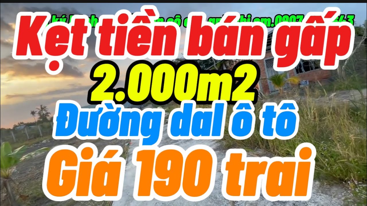 Bán gấp 2.000m2 đất vườn mặt tiền đường đan ô tô giá ngộp lắm 190 triệu tỉnh An Giang 