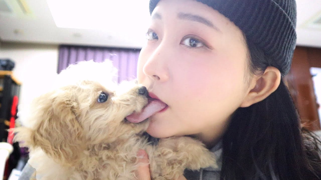 강아지가 제 혀를 물었어요