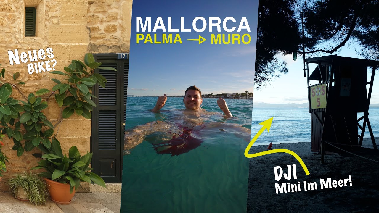 Hans Zimmer KONZERT! - MALLORCA Trip! @ReinersMovies - XXL VLOG - ICH BIN WIEDER DA! #vlog