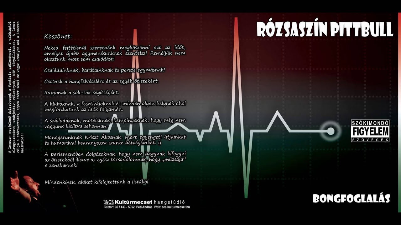 Rózsaszín Pittbull - Jó éjt Bobby Sands - Bongfoglalás (2010)