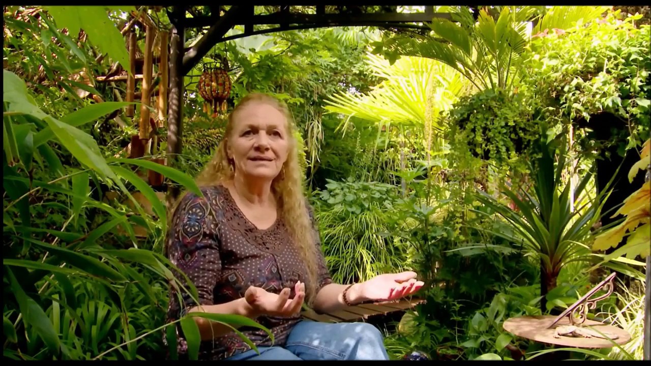 Tiny, low budget tropical paradise UK, Britain&rsquo;s Best Back Gardens 2015