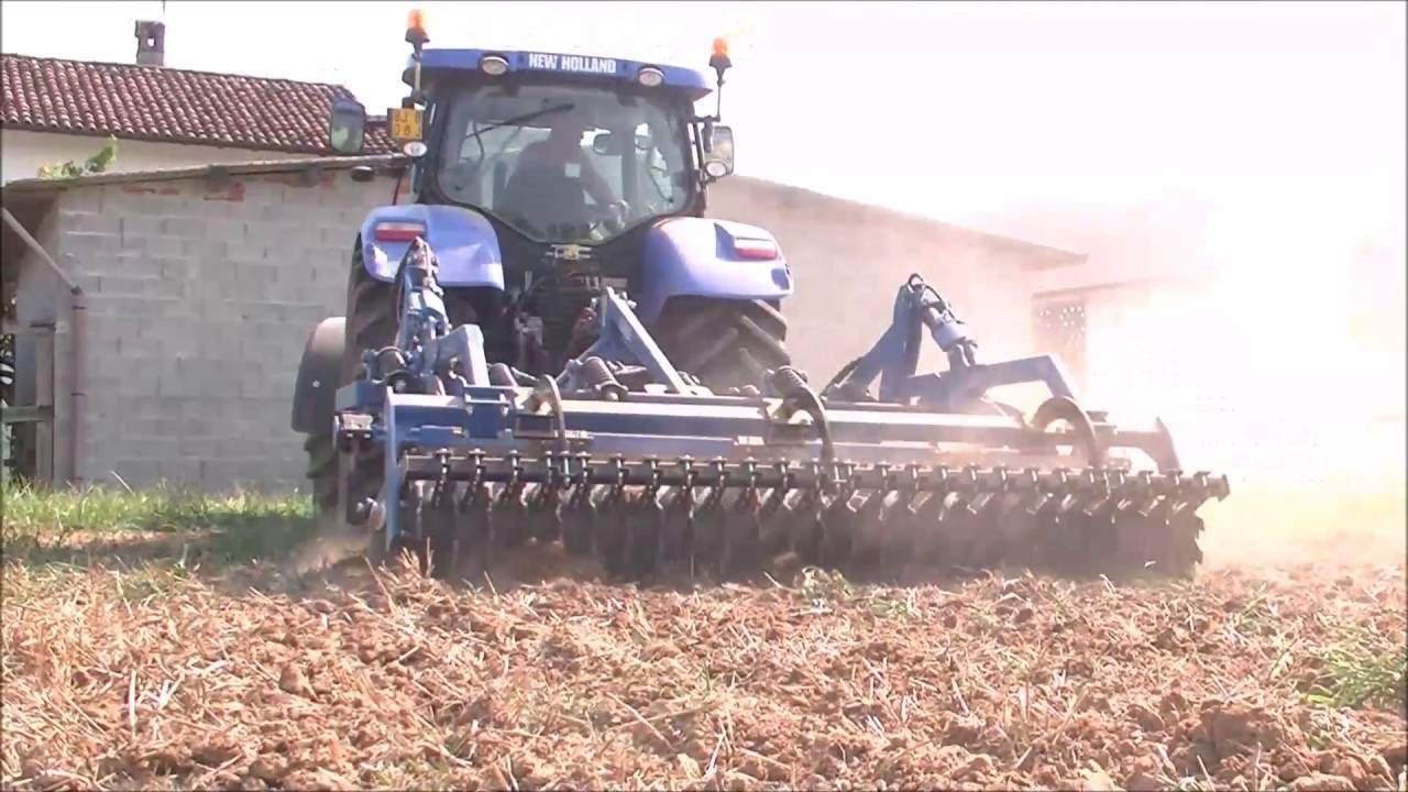 PROVA IN CAMPO AGRIPOL CULTI 300