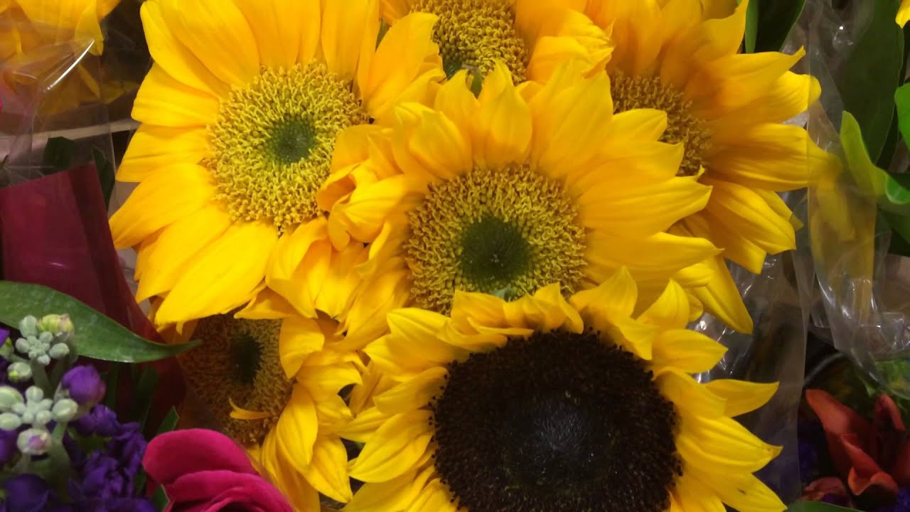 Flowers: Through the eyes of Georgia O'Keeffe