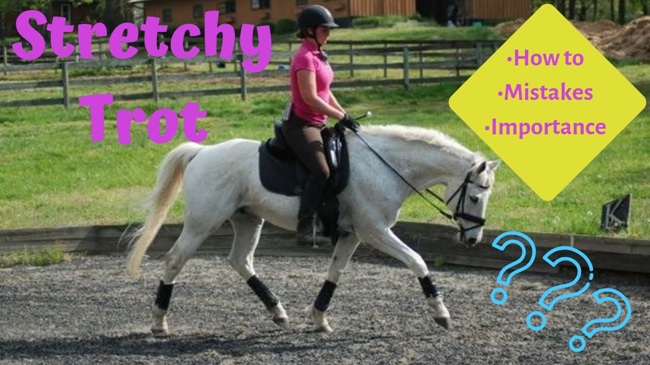 What is a STRETCHY TROT?