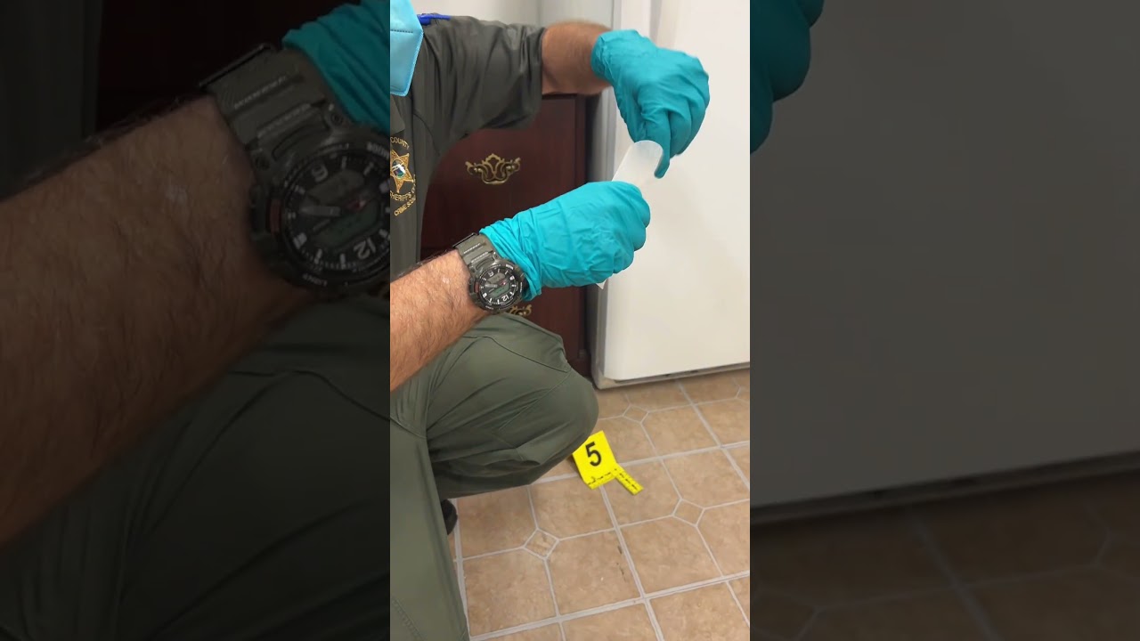 🔍 I.AM.BSO: Crime Scene Unit 🕵️‍♂️ 