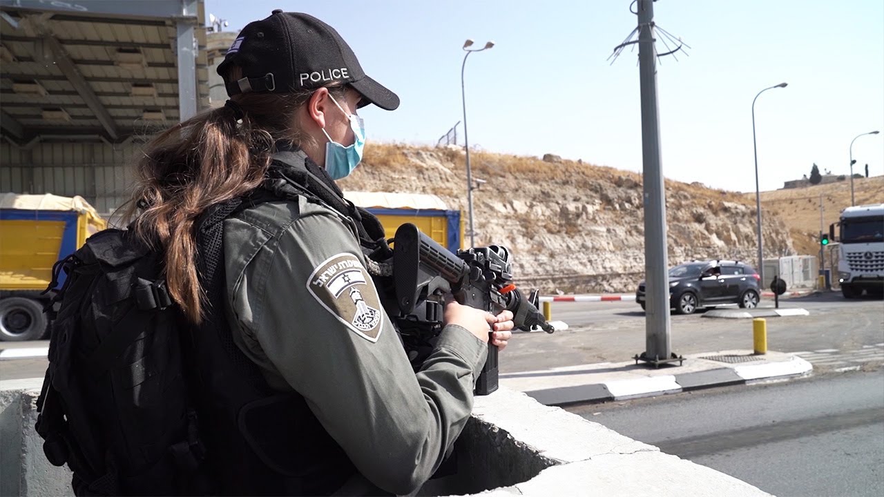 פעילות לוחמי פלוגה מ