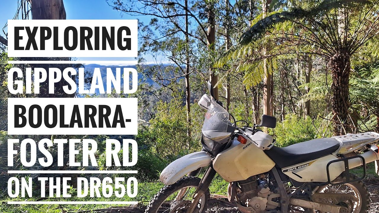 DR650 Adventures - Boolarra-Foster Rd #suzuki #dr650 #motovlog #offroad