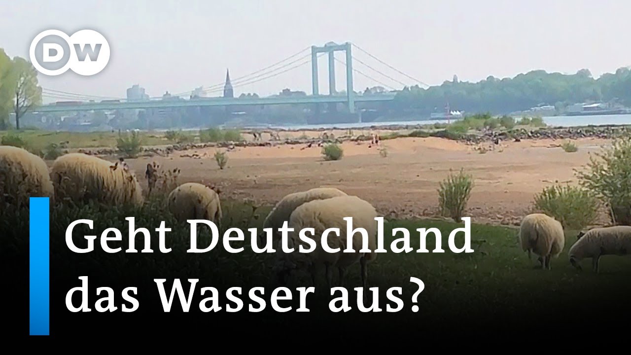 Klimawandel in Deutschland: Der Kampf ums Wasser | DW Nachrichten
