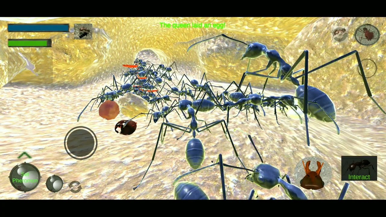 ANT SIMULATION FULL HD